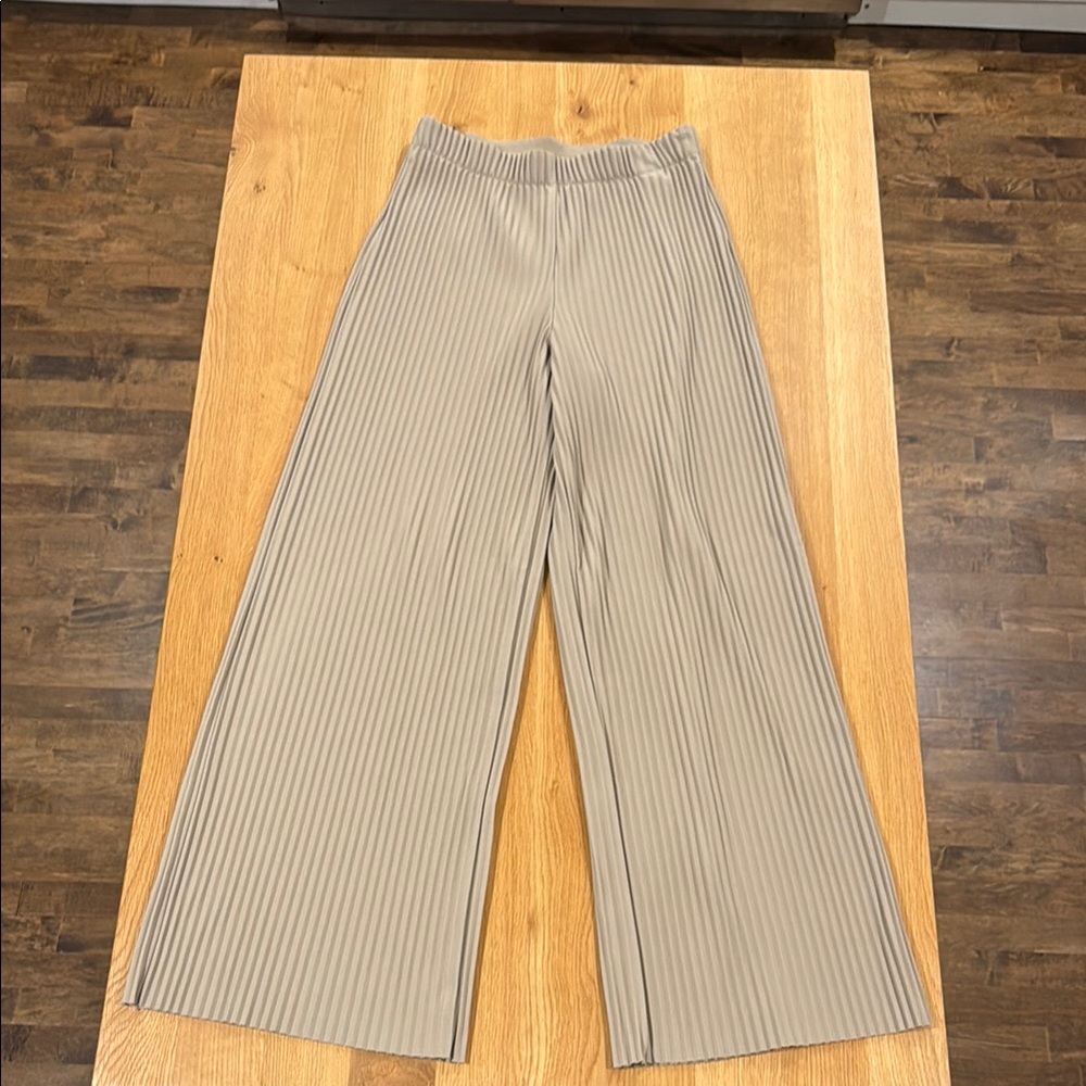 Aritzia Beige Pleated Wide-Leg Pants
